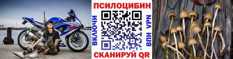 даркнет сайт  Спас-Клепики  Псилоцибиновые грибы Cubensis 